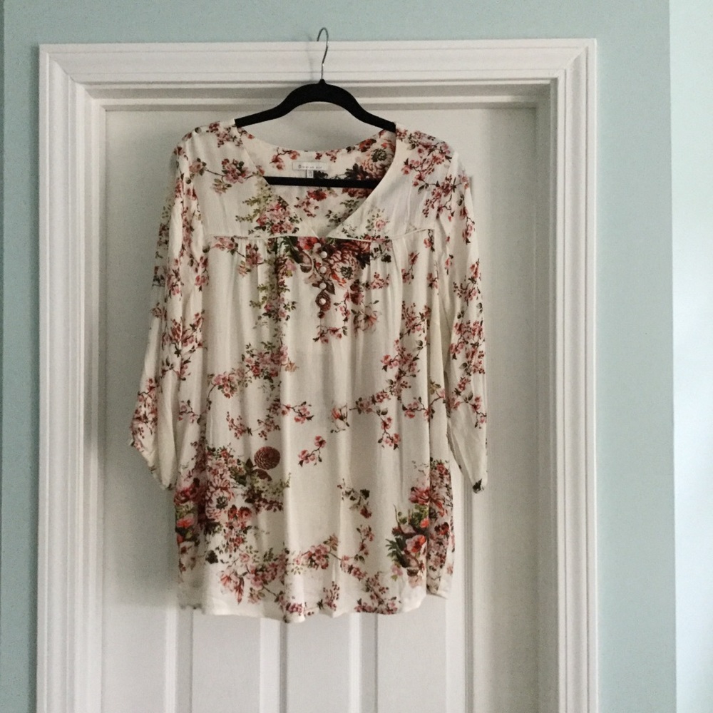 Skies are blue blouse 1X